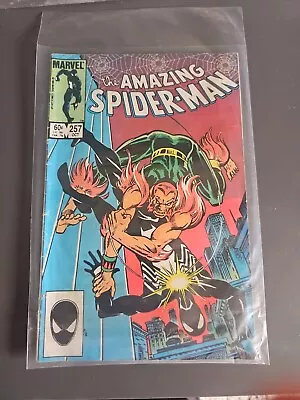 Buy Amazing Spider-Man #257D 1984 • 30£