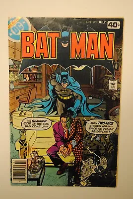 Buy Batman #313 Newsstand - 1st Appearance Of Tim Fox NEXT BATMAN - KEY - 1979 • 79.95£