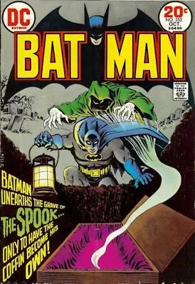 Buy DC Comics Batman Vol 1 #252 1973 5.0 VG/FN • 18.17£