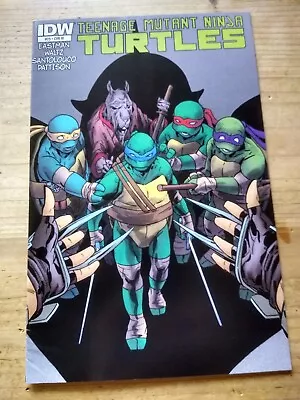 Buy IDW Teenage Mutant Ninja Turtles 25 Cover RI 1:10 Variant • 8.99£