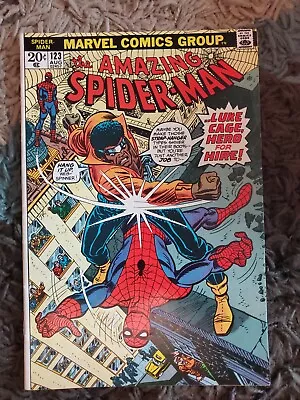 Buy Amazing Spiderman 123 • 71.15£