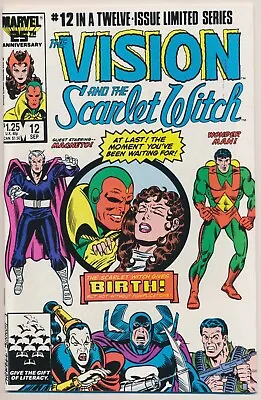 Buy The Vision And The Scarlet Witch #12 Comic Book - Marvel Comics • 35.48£