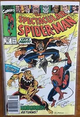Buy Spectacular Spider-Man #161 (Marvel Comics 1990) • 5.99£