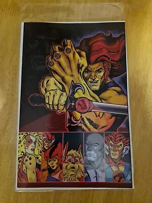 Buy Thundercats #1 Exclusive Ron Leary Jr. Cover Ltd To 600  Color Variant  • 25£