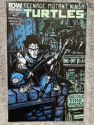 Buy Teenage Mutant Ninja Turtles #45 Cover B IDW 1st Print 2015 • 7.95£