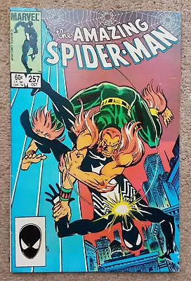 Buy THE AMAZING SPIDERMAN #257 (1984) Puma Hobgoblin App - FN • 19.50£