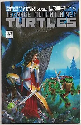 Buy Teenage Mutant Ninja Turtles 13 NM 1988 Mirage Studios 1st App Jhanna M Dooney • 23.99£