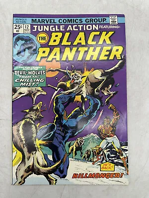 Buy Jungle Action #12 Featuring The Black Panther Marvel Comics 1974 F • 11.85£