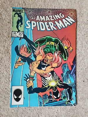 Buy THE AMAZING SPIDER-MAN #257, 2nd APPEARANCE OF  PUMA , GREAT COVER ART!! • 25£