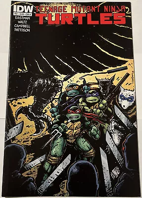 Buy Teenage Mutant Ninja Turtles #31 CVR B Comic Book IDW Publishing Eastman Mirage • 28.15£