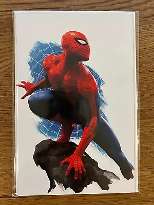 Buy Amazing Spider-Man, Vol. 6 #26 - Rafael Grassetti NYCC Virgin Variant Ltd. 1000 • 19.95£