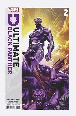 Buy Ultimate Black Panther #2 (2024) 2nd Printing *manhanni Varaint Cover* Marvel • 5.15£