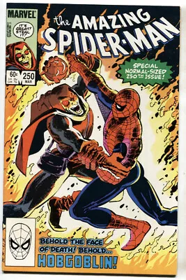 Buy AMAZING SPIDER-MAN #250--comic Book--1984--MARVEL--Hobgoblin--VF • 21.11£