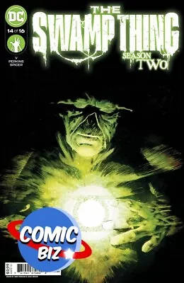 Buy Swamp Thing #14 (2022) 1st Printing Bagged & Boarded Main Cover A Perkins Dc • 3.65£