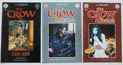 Buy James O'Barr's The Crow: Flesh & Blood #1 To 3 Set Kitchen Sink 1996 FN+ 6.5 • 26.99£