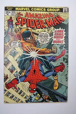 Buy Amazing Spider-Man #123 Gwen Stacy Funeral Spider-Man Vs Luke Cage Bronze Age VG • 47.44£