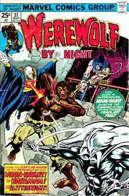 Buy Werewolf By Night #37 FN; Marvel | Werewolf By Night - We Combine Shipping • 78.01£