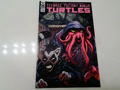 Buy Teenage Mutant Ninja Turtles #111 B Cover IDW F/VF Comics Book • 3.21£