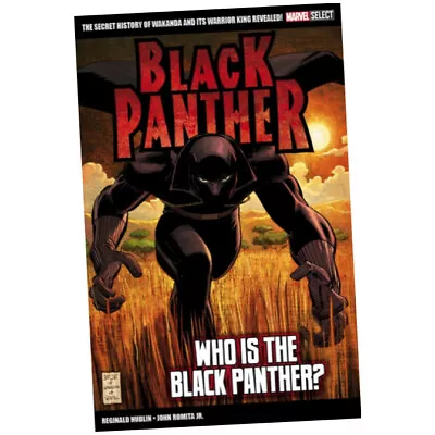 Buy Marvel Select Black Panther - Reginald Hudlin (Paperback) - Who Is The Blac...Z3 • 10.49£