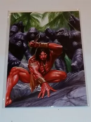 Buy Lord Of The Jungle #1 Df Virgin Variant Nm+ (9.6) Dynamite January 2012 Coa  • 24.99£