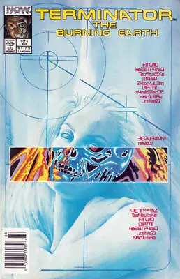 Buy Terminator, The: The Burning Earth #1 (Newsstand) VF; Now | Alex Ross - We Combi • 7.98£