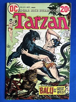 Buy Tarzan #213 (10/72) Joe Kubert Story/Cover/Art; FN-VF • 11.82£