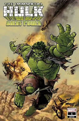Buy Immortal Hulk Great Power #1 Cover B Fiumara Variant Marvel EB149 • 3£