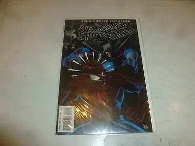 Buy PETER PARKER - THE SPECTACULAR SPIDER-MAN - No 207 - Date 12/1993 - Marvel Comic • 9.99£