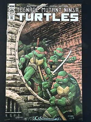 Buy Teenage Mutant Ninja Turtles #124 Cover RI Variant 1:10 IDW 1st 2022 TMNT NM • 7.90£