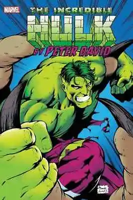 Buy Incredible Hulk By Peter David Omnibus Volume 3 Hardcover  • 82£