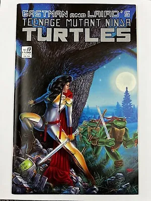 Buy Teenage Mutant Ninja Turtles #13 (1987) Eastman Laird, 1st Appearance Of Jhanna • 15.84£