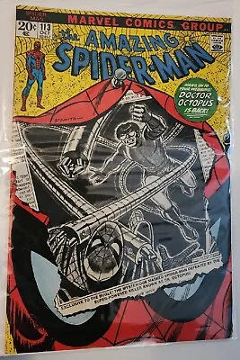 Buy The Amazing Spider-Man #113 Marvel Comics 1972 - 1st Appearance Of Hammerhead • 47.29£