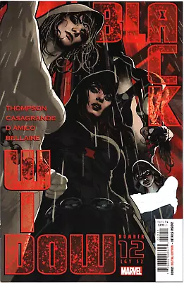 Buy Marvel BLACK WIDOW (2020) #12 VF/NM Adam Hughs Cover • 3.15£