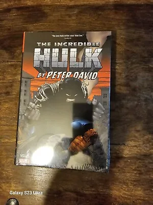 Buy The Hulk By Peter David Omnibus Edition Volume 1 • 27£