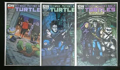 Buy TMNT #44 #45 #46 IDW Ongoing Cover B - Eastman Covers & 3rd Print • 27.16£