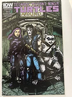 Buy Teenage Mutant Ninja Turtles #46 Cover B  IDW 1st Print • 6.95£