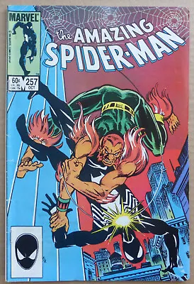 Buy THE AMAZING SPIDER-MAN #257, 2nd APPEARANCE OF  PUMA , GREAT COVER ART!! • 27.50£