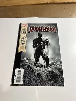 Buy Amazing Spider-Man #527 7.0   Or Better AA • 2.80£