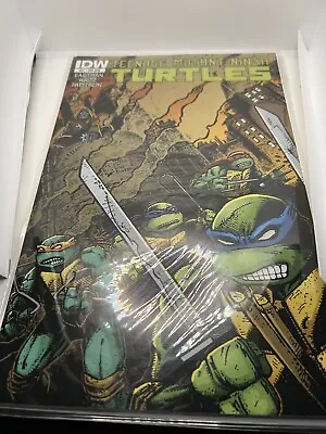 Buy Teenage Mutant Ninja Turtles (2011) #21B Bagged And Boarded From NEW • 12.95£