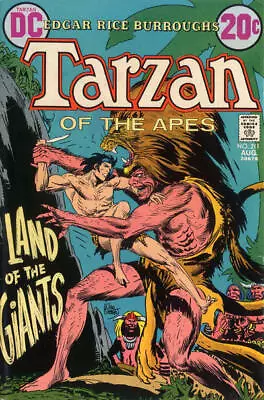 Buy Tarzan (DC) #211 FN; DC | Joe Kubert - We Combine Shipping • 3.82£