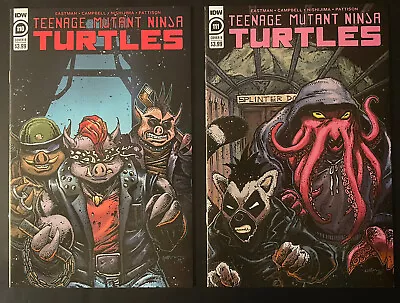 Buy Teenage Mutant Ninja Turtles 110 111|TMNT 110 111|Cover B|Last Ronin Preview|VF+ • 9.64£