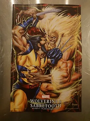 Buy Wolverine #17 Variant (Marvel, 2021) • 5.27£