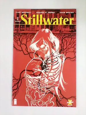 Buy Stillwater #1 - Chip Zdarsky Scripts (Option Talk. Horror. 2020🔥!) • 3.99£