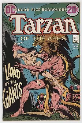Buy Tarzan Of The Apes 211 DC 1972 FN Joe Kubert Hal Foster • 5.30£