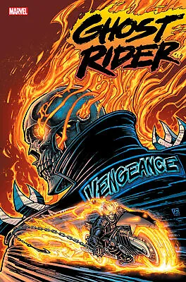 Buy Ghost Rider Final Vengeance #1 Chad Hardin Variant (13/03/2024) • 4.90£