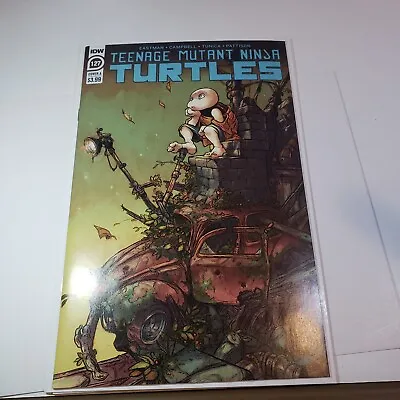 Buy Teenage Mutant Ninja Turtles #127 (2022 IDW Comics)  1st Cameo Venus #BIN045 • 4.74£