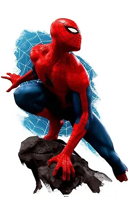 Buy Amazing Spider-man #26 Rafael Grassetti Virgin Nycc 2023 Variant Ltd To 1000 • 27.95£