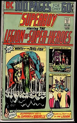 Buy 1974 Superboy #202 DC Comic • 15.80£
