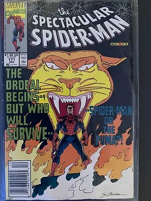 Buy The Spectacular Spider-Man (1976) #171 & 172 Marvel Comics • 8.95£