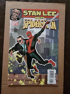 Buy Stan Lee Meets The Amazing Spider-Man #1 NM Marvel 2006 Joss Whedon AF15 Homage  • 19.91£